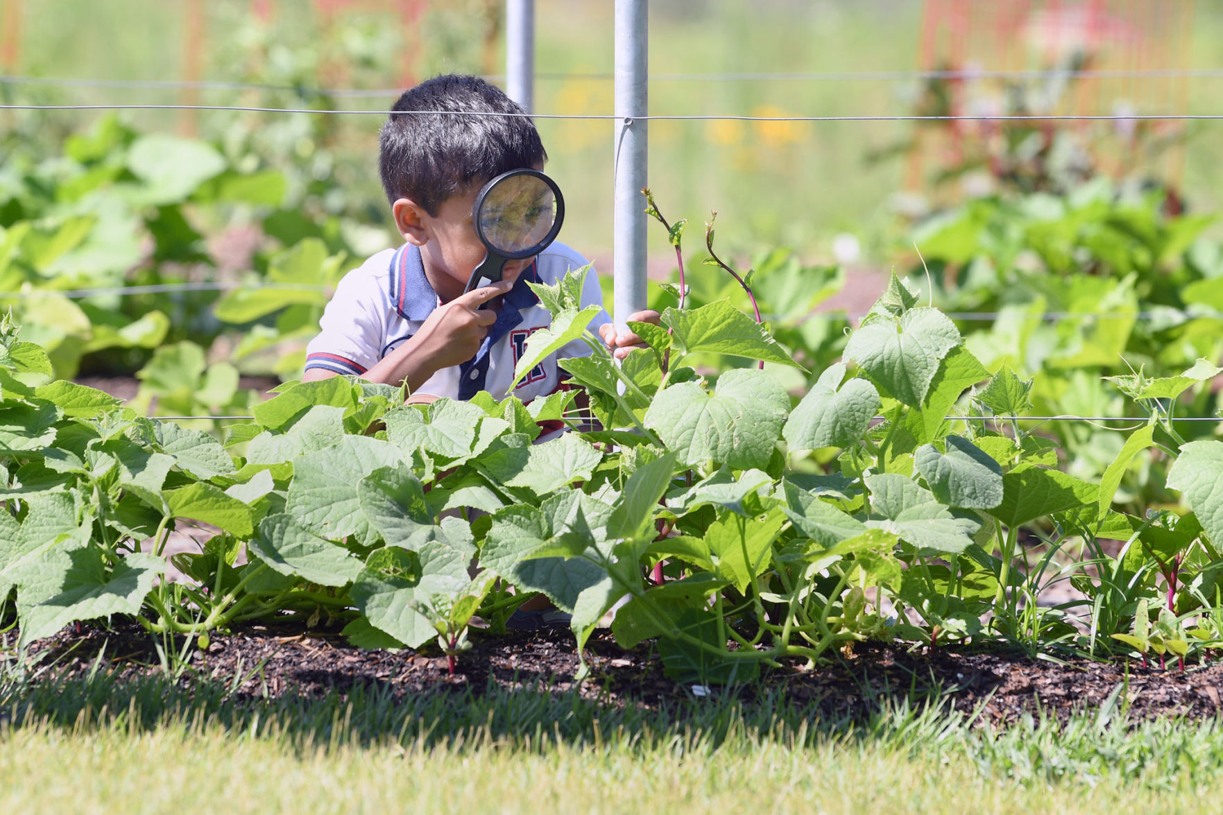Leach Teaching Gardens